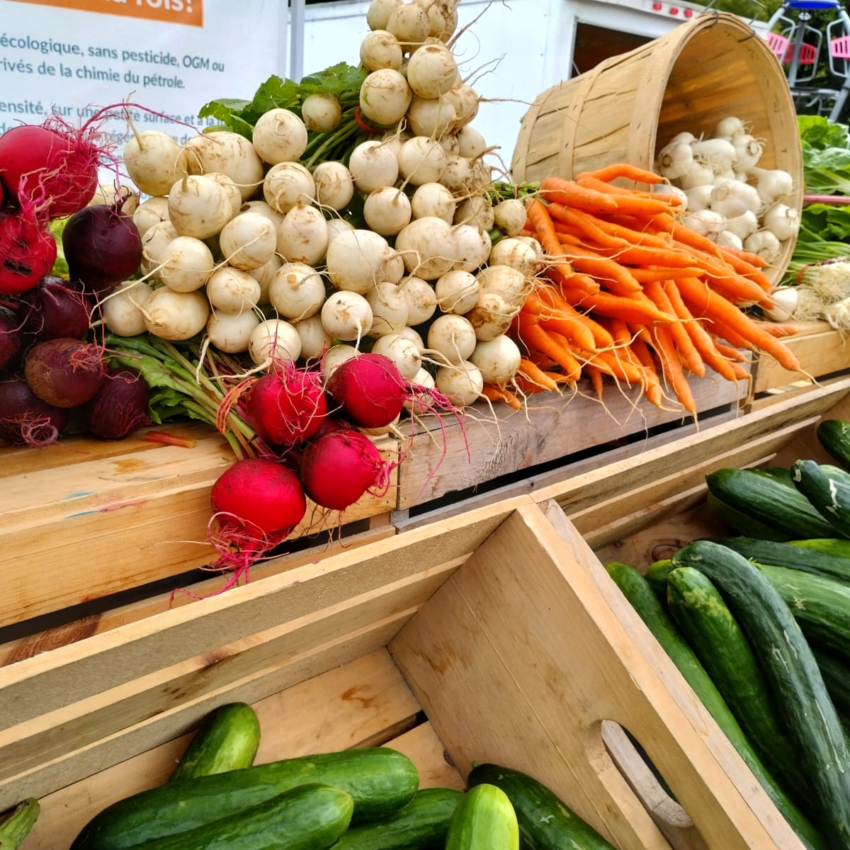 Booths at a farmer's market. 