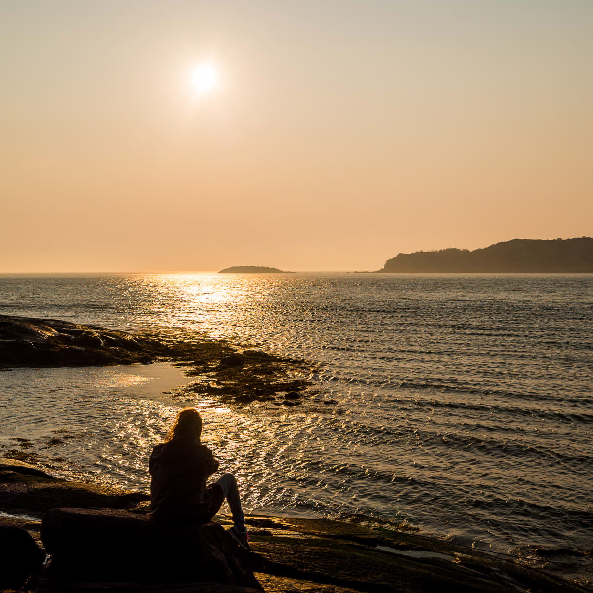 Person alone by the water on île aux lièvres.