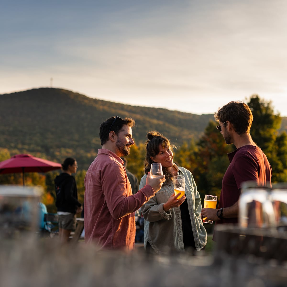 Ideas to plan your summer in Quebec - Group of friends in a vineyard
