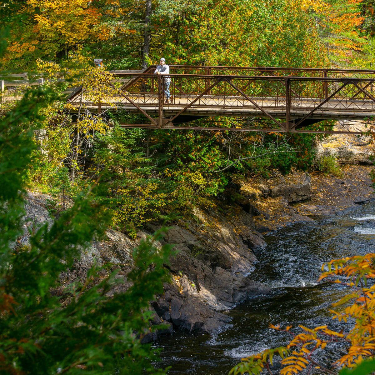 Bridge over a river in the fall.