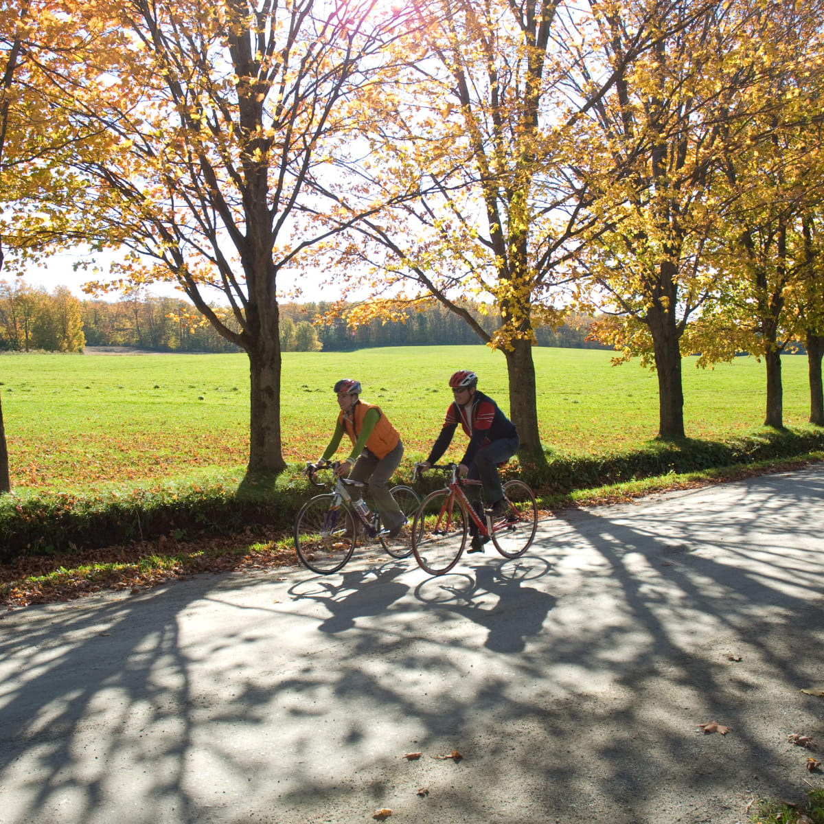Two men riding bicycles on a country road in the fall.
