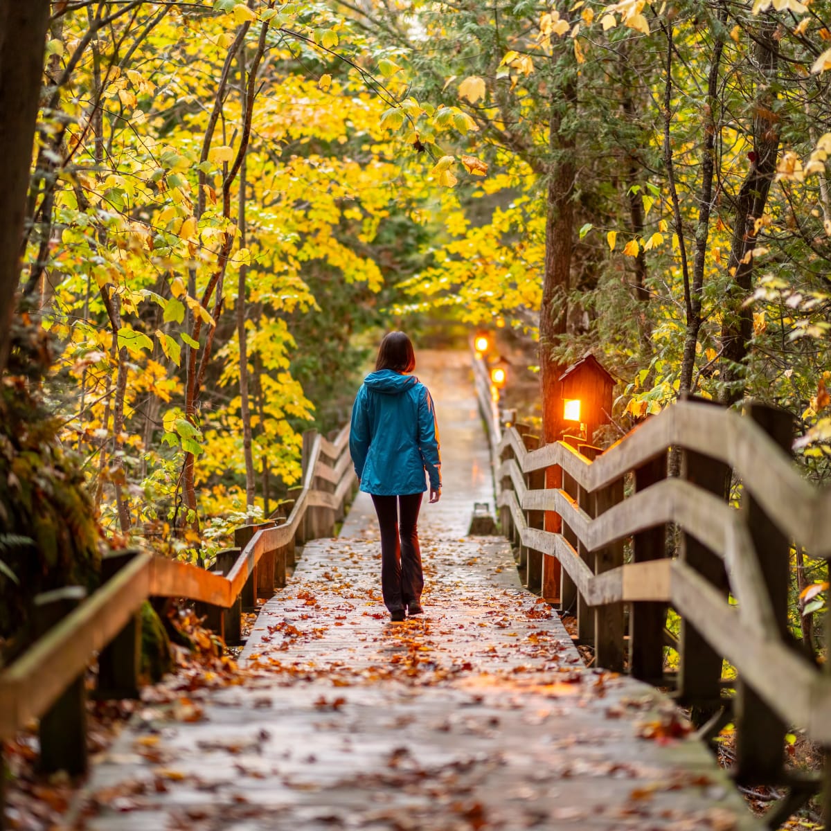 Femme marchant sur une promenade en bois au milieu des couleurs d'automne.