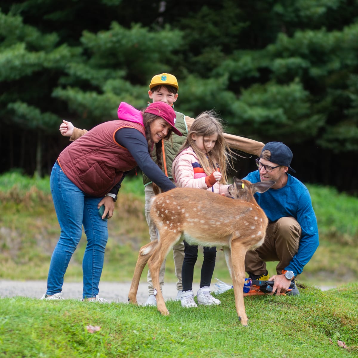 Family around a fawn.