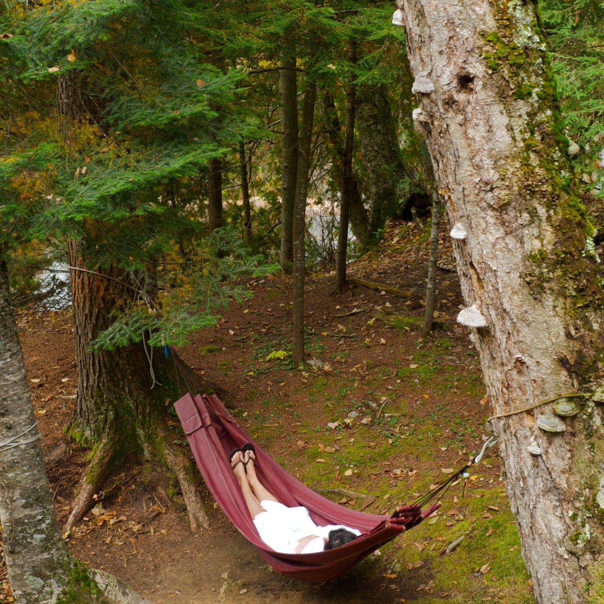 A person in a hammock in the woods.