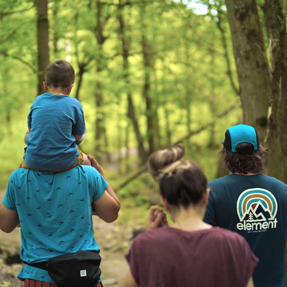 Famille de 4 en randonnée dans le bois.