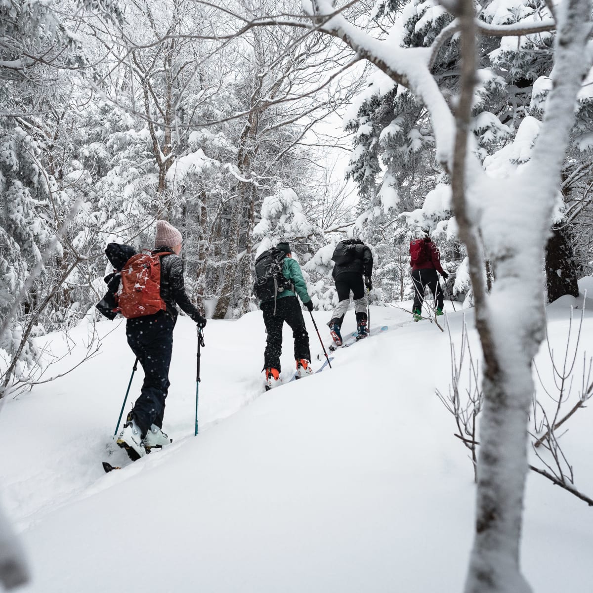 Group of people alpine touring.