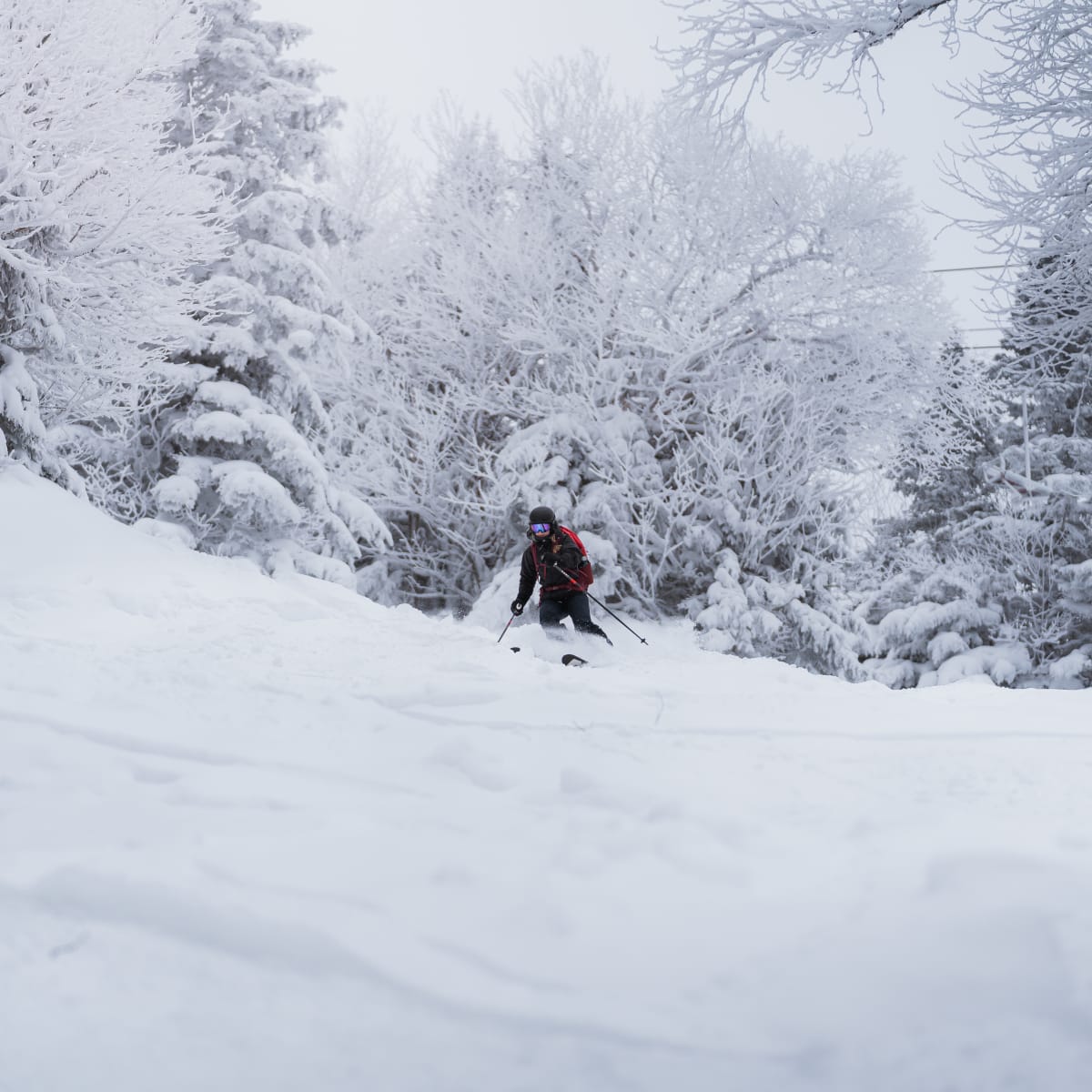 Alpine skier at Mont SUTTON.