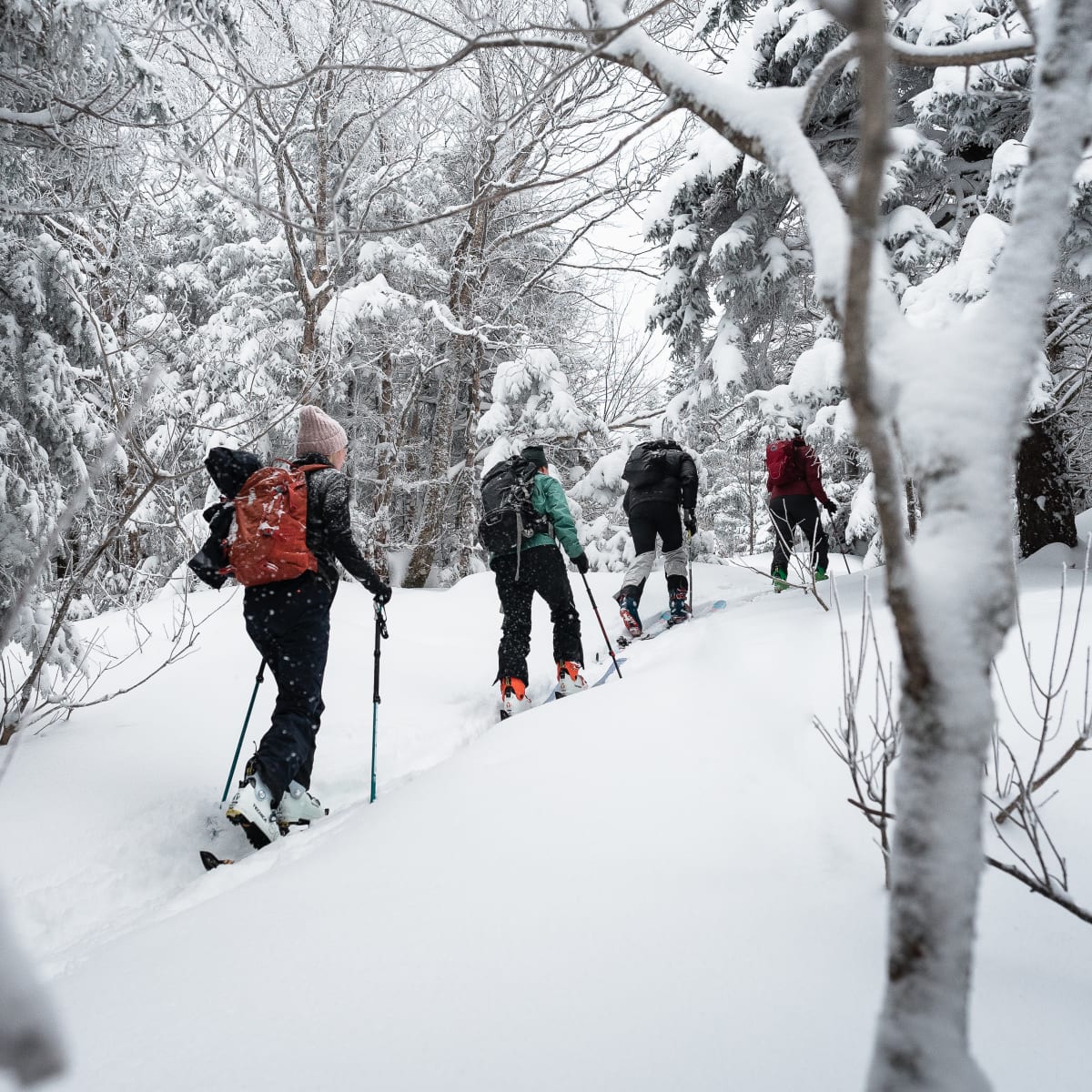Alpine hiking in Brome-Missisquoi.