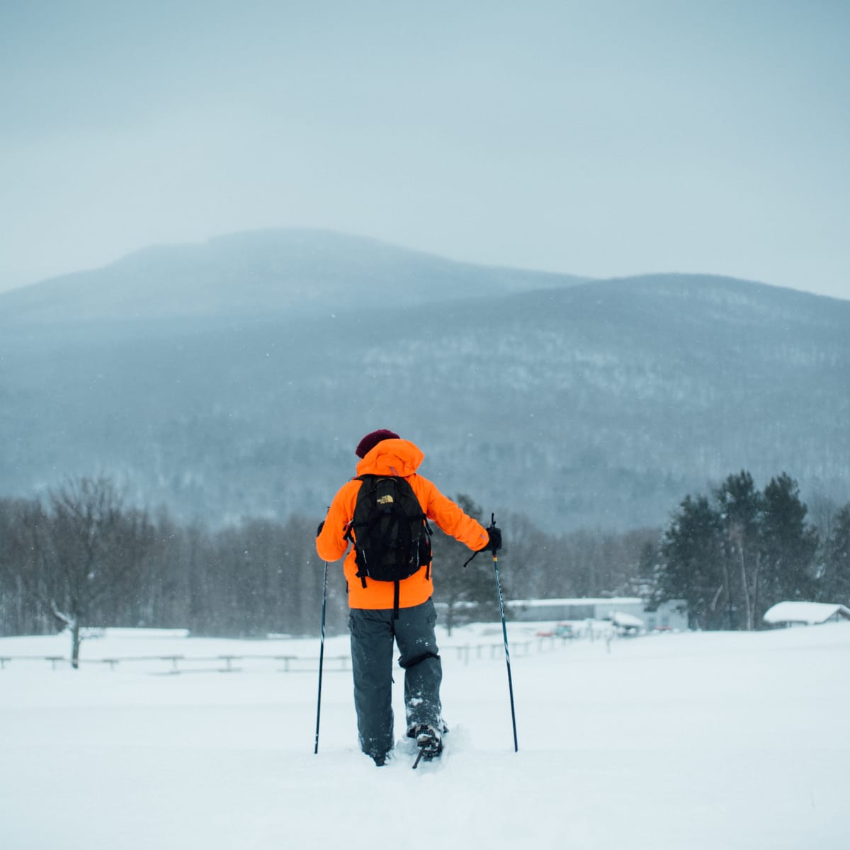 Snowshoeing in Brome-Missisquoi.