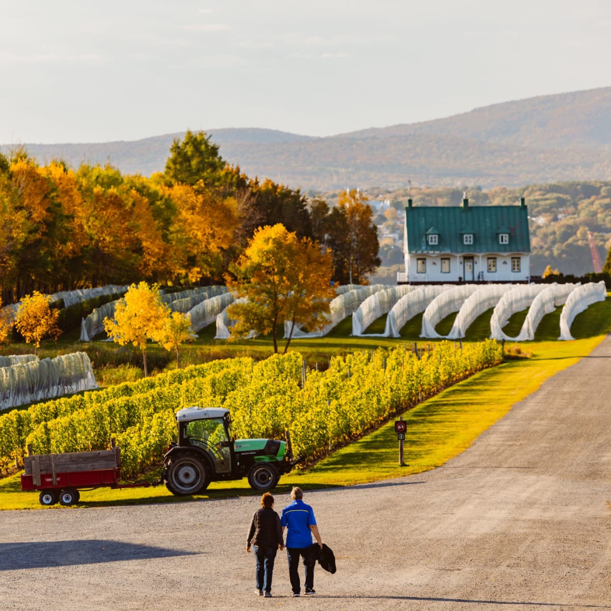 Vignoble - Destination Québec cité.