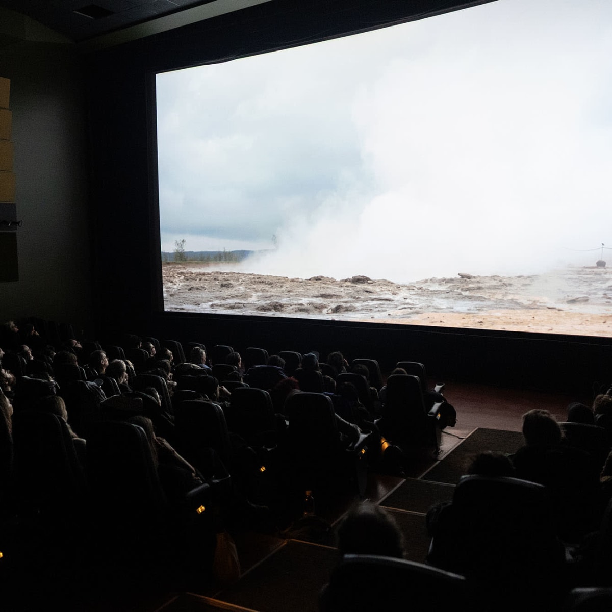 Viewing of a documentary at the event Rencontres Internationales du documentaire de Montréal (RIDM).