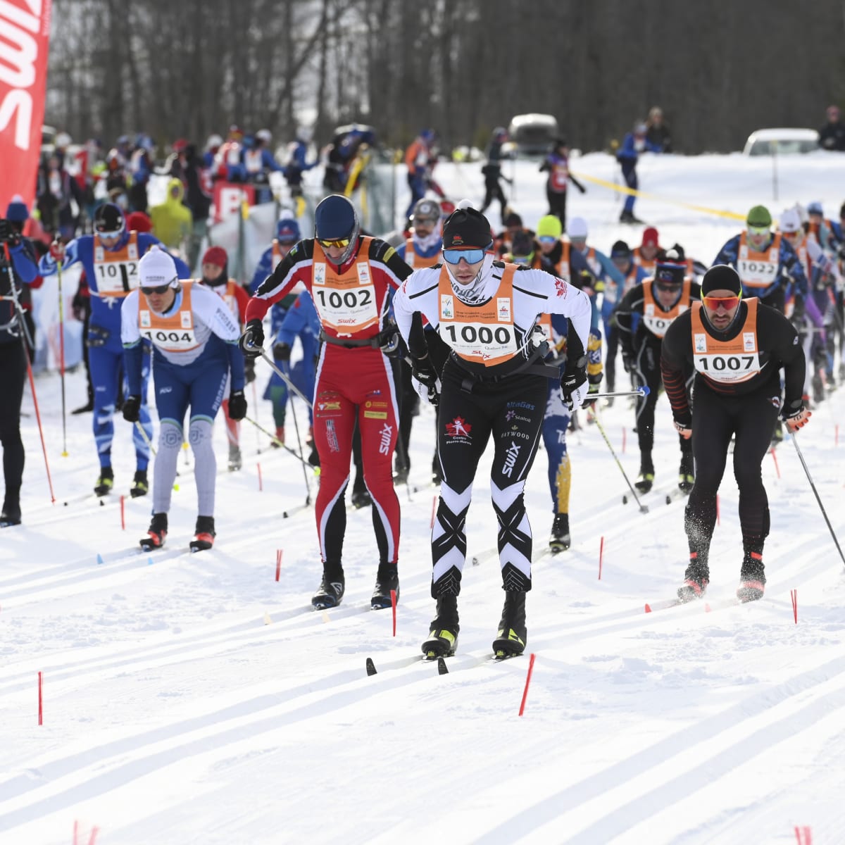 Cross-country skiers at the start of a race