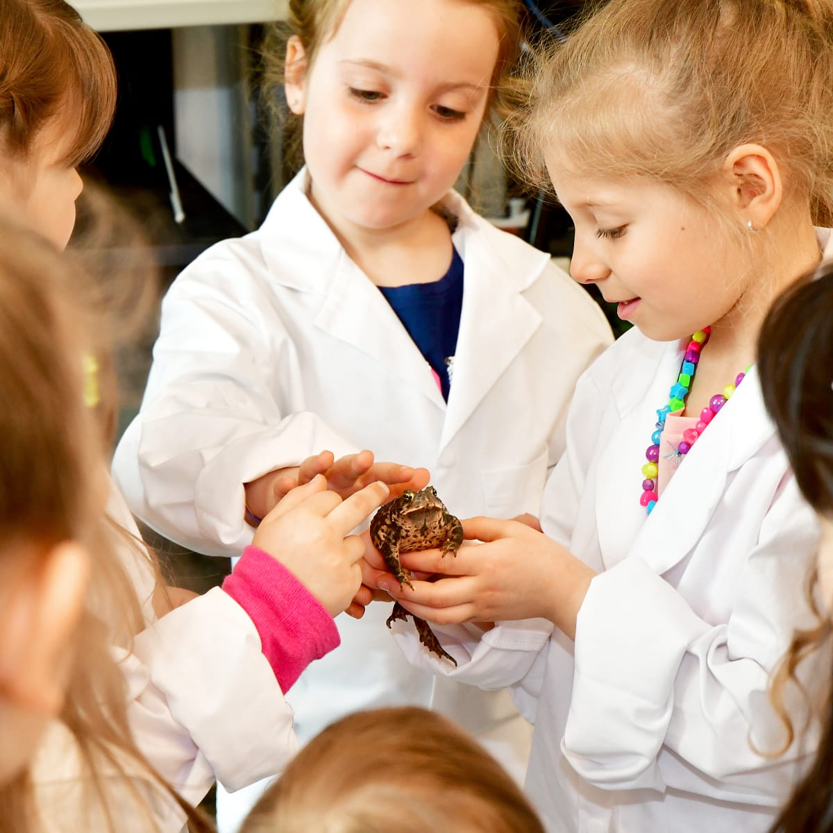 Group of young children in lab coats observing a frog.