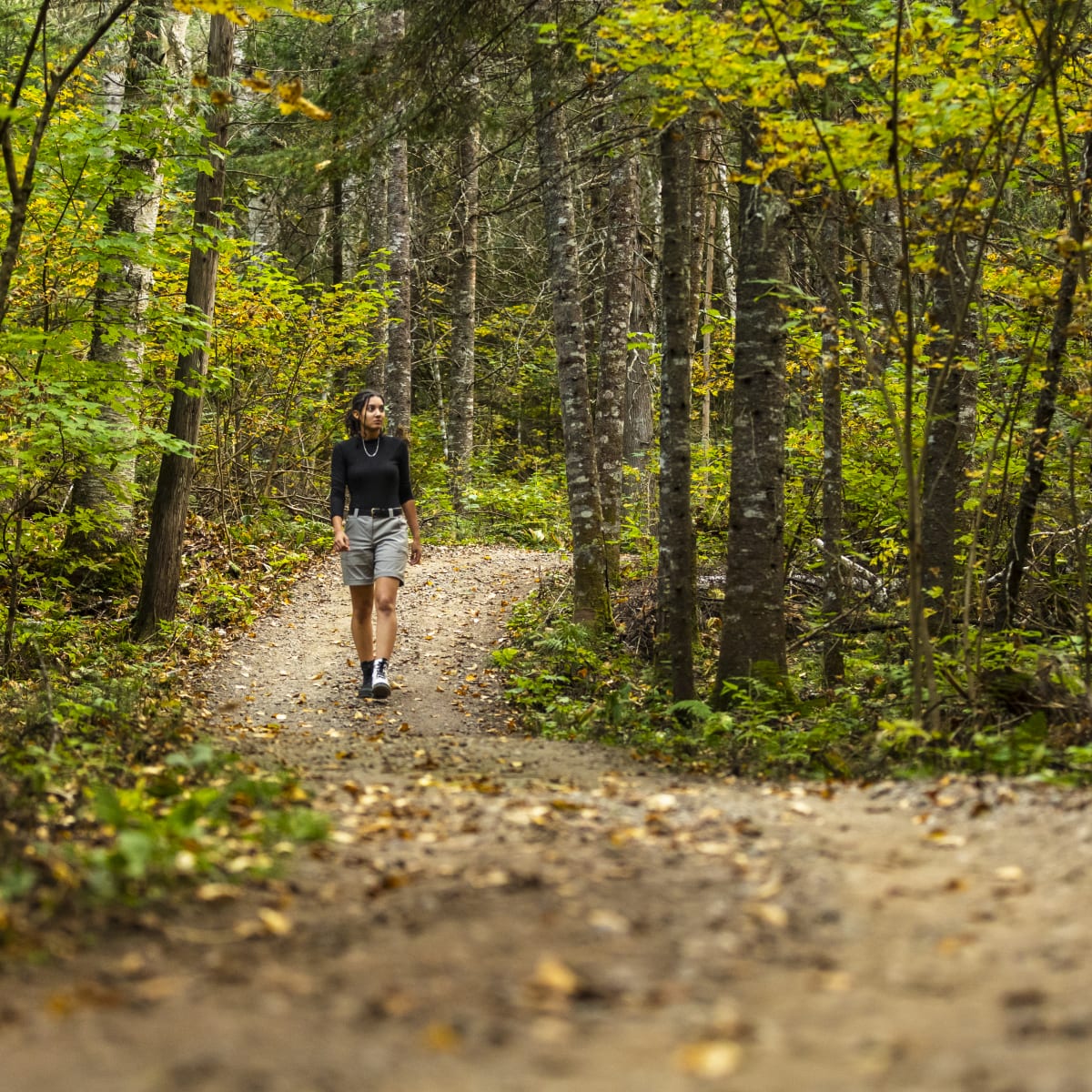Young woman on a hiking trail in the forest in the fall