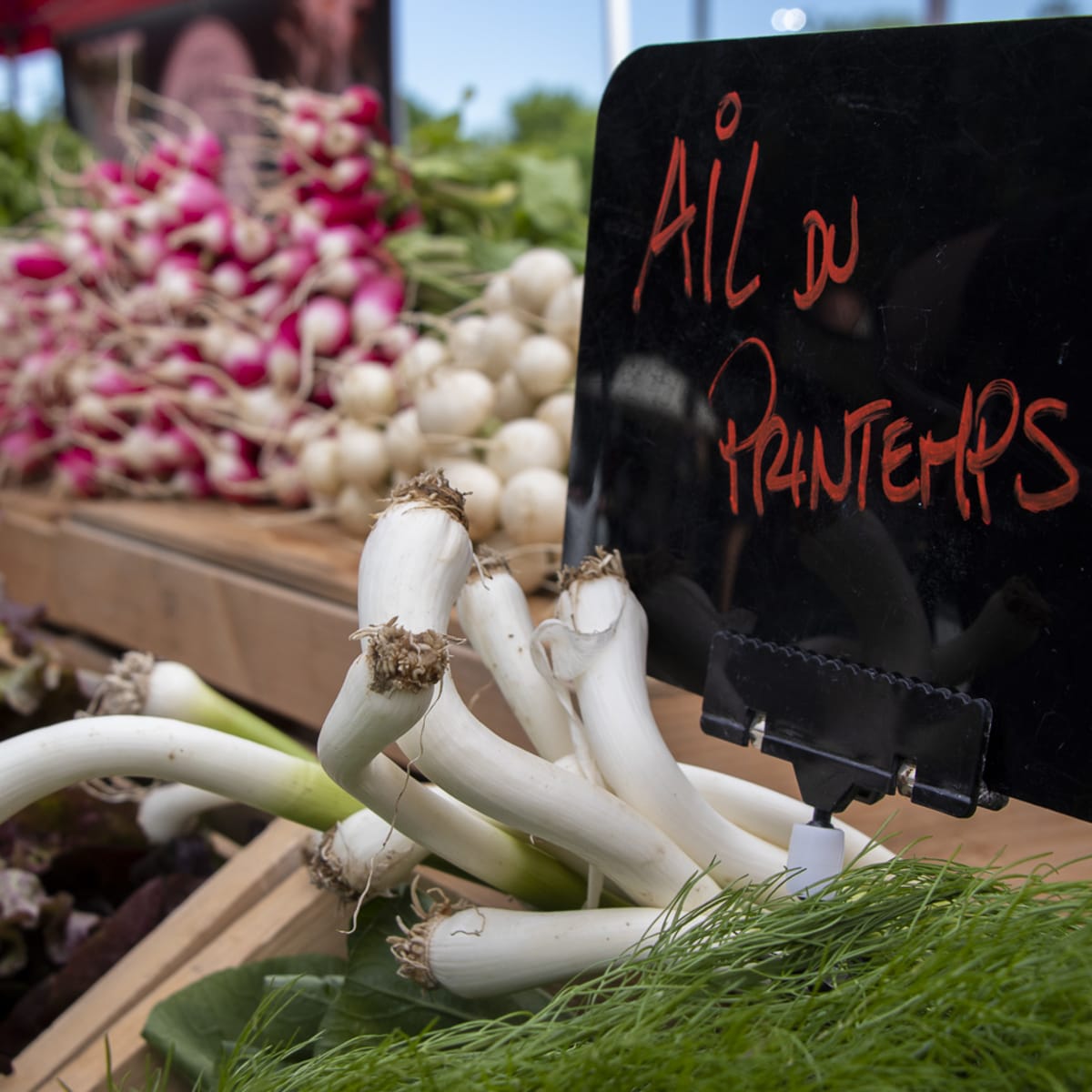 Close-up of a market stall, with a sign reading 'Spring garlic' in French.