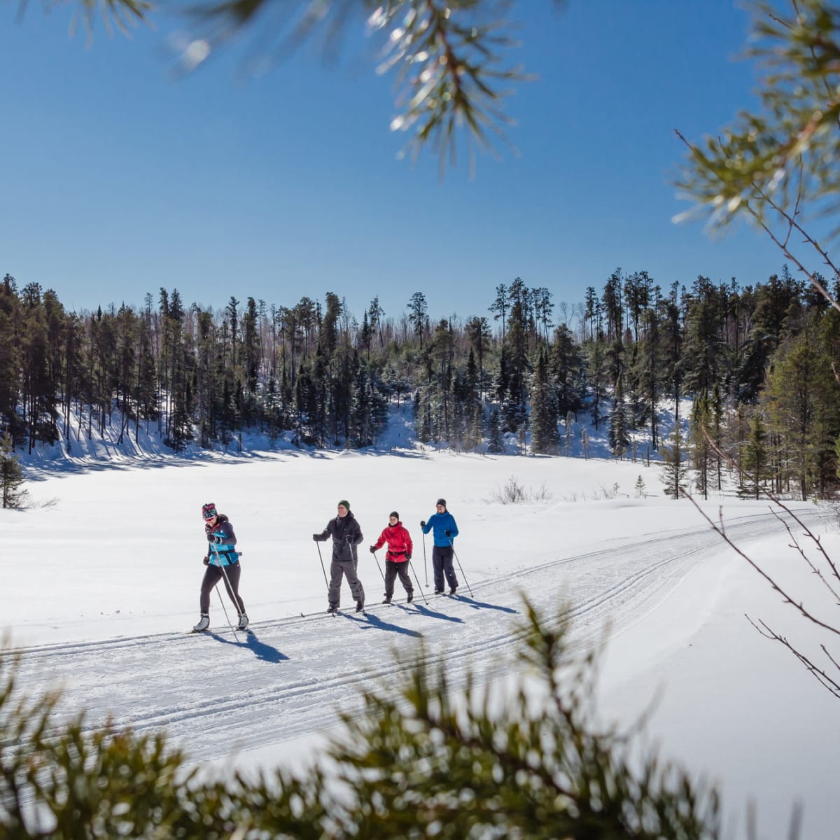 Cross-country ski trail