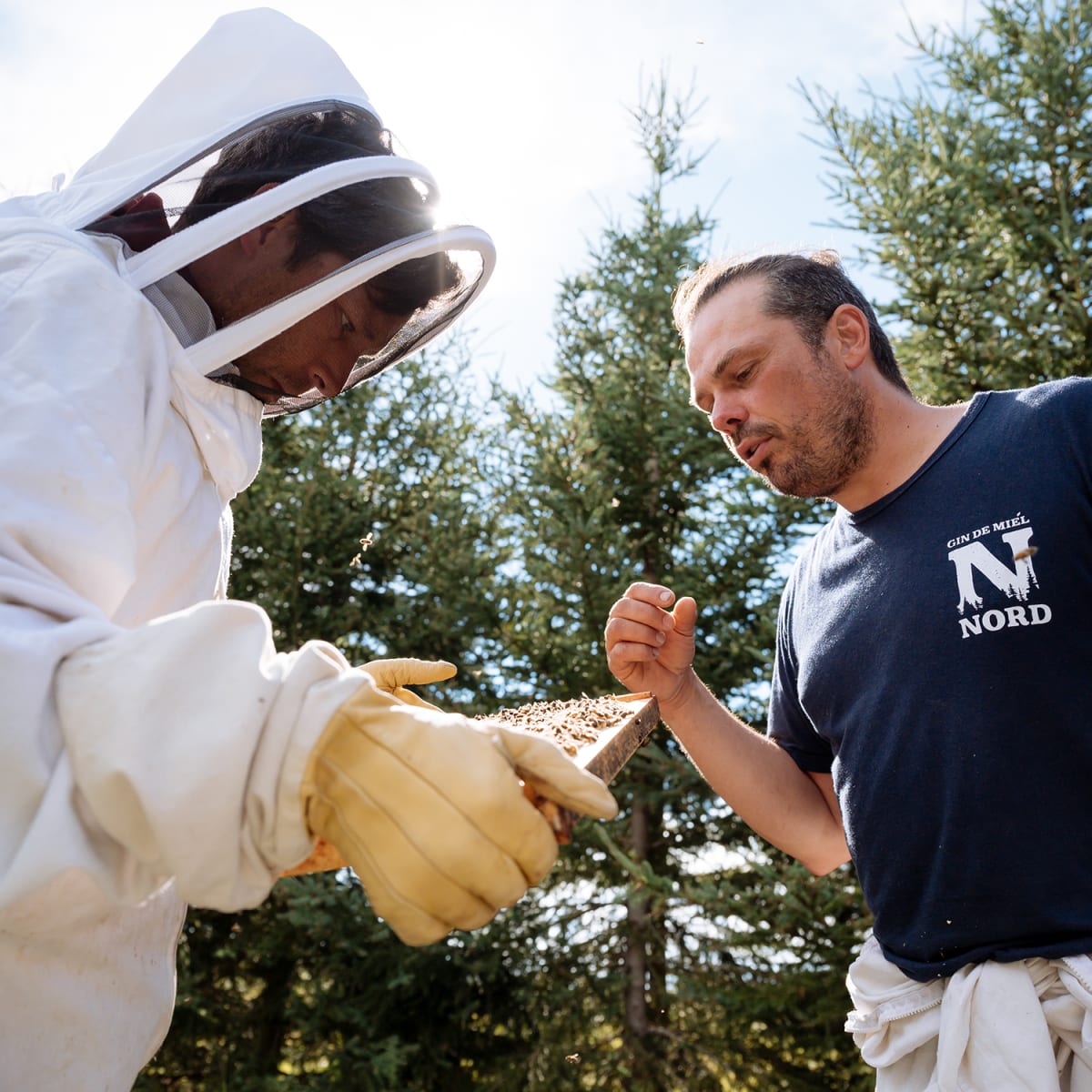 Beekeeper and visitor at the Grande Ourse honey farm