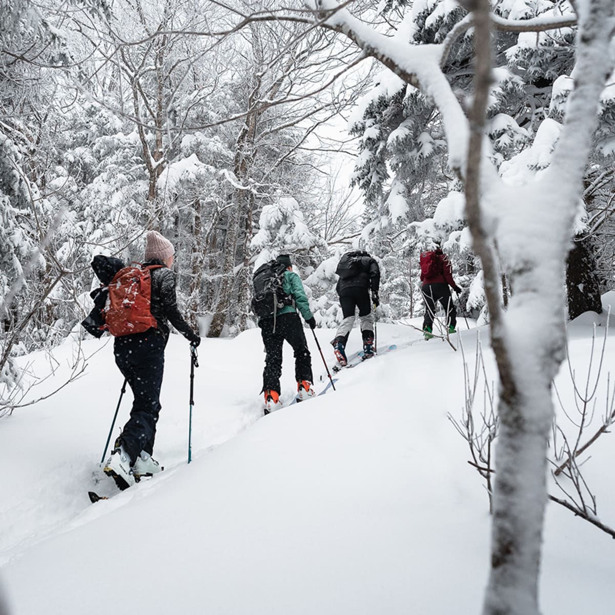 Groupe de randonneurs alpin dans la région Brome-Missisquoi