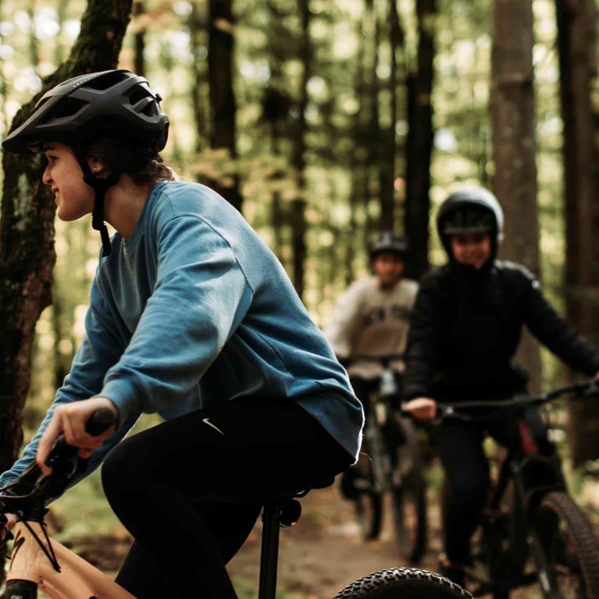 Cyclists in the woods in the regional park