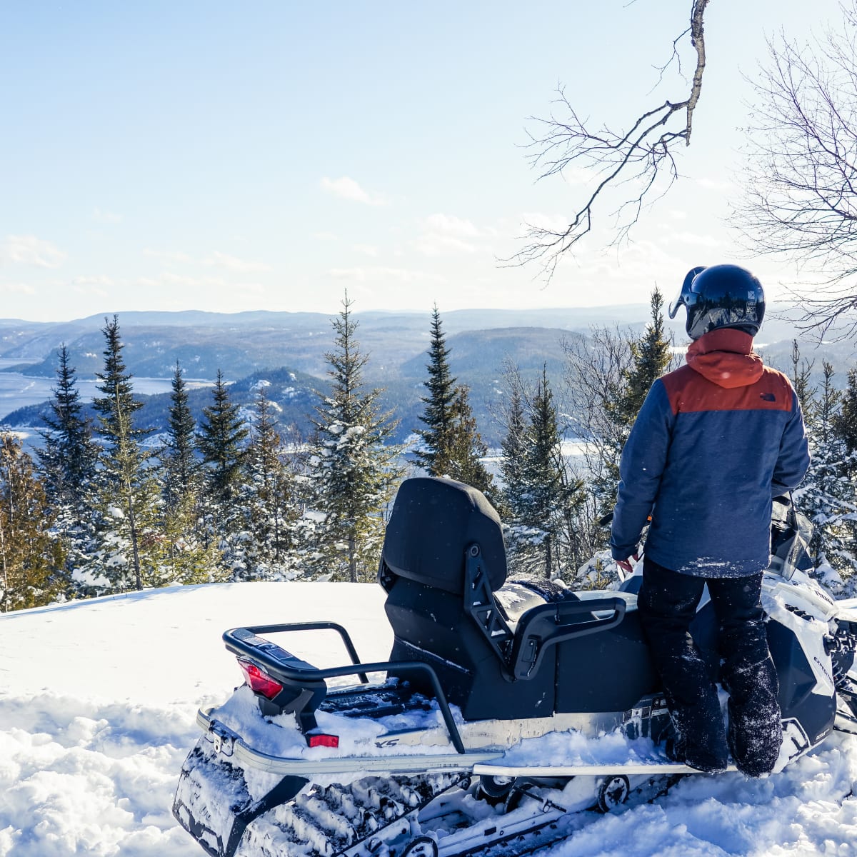 Snowmobiler looking out at the forest and river.