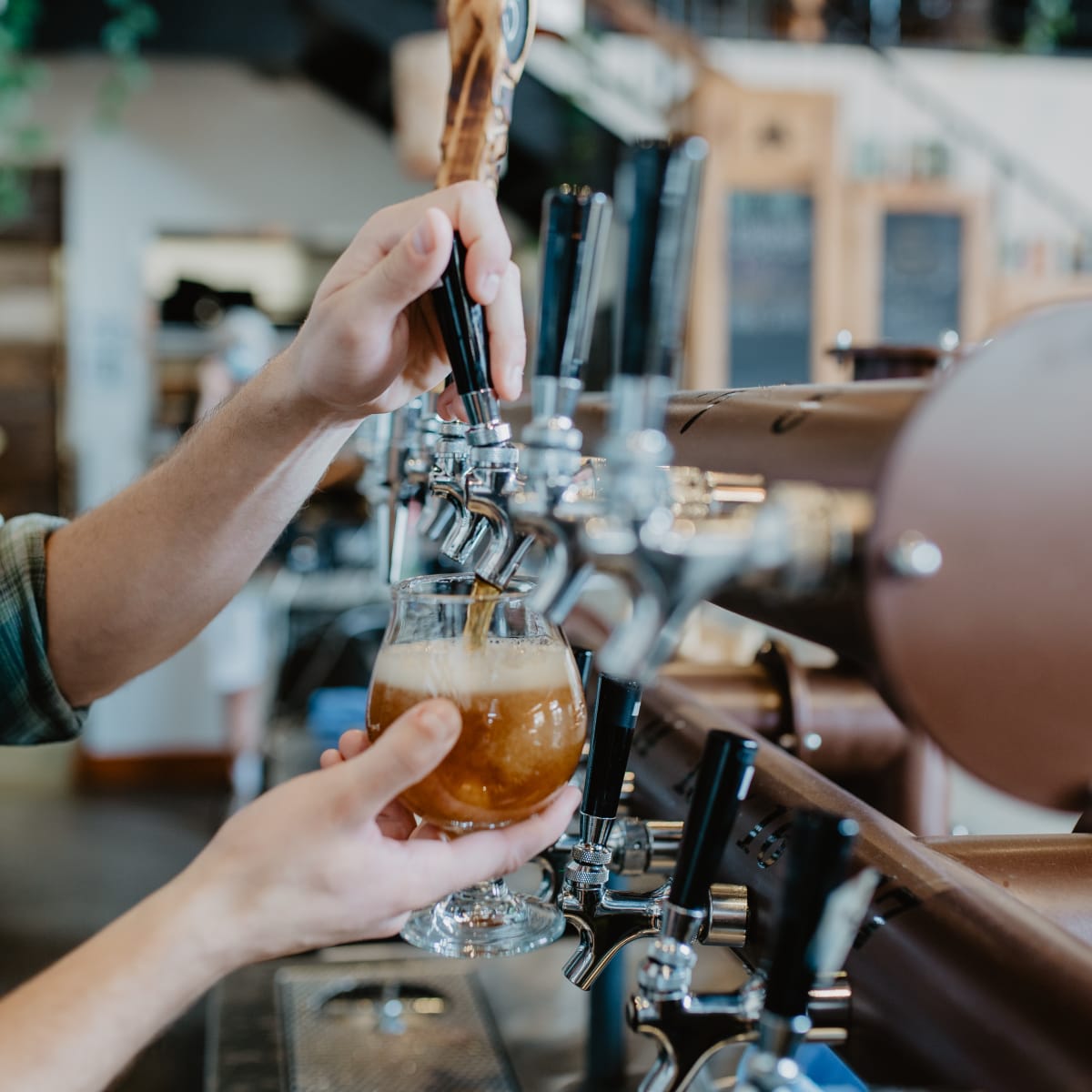 Un barman rempli un verre de bière à la pression.