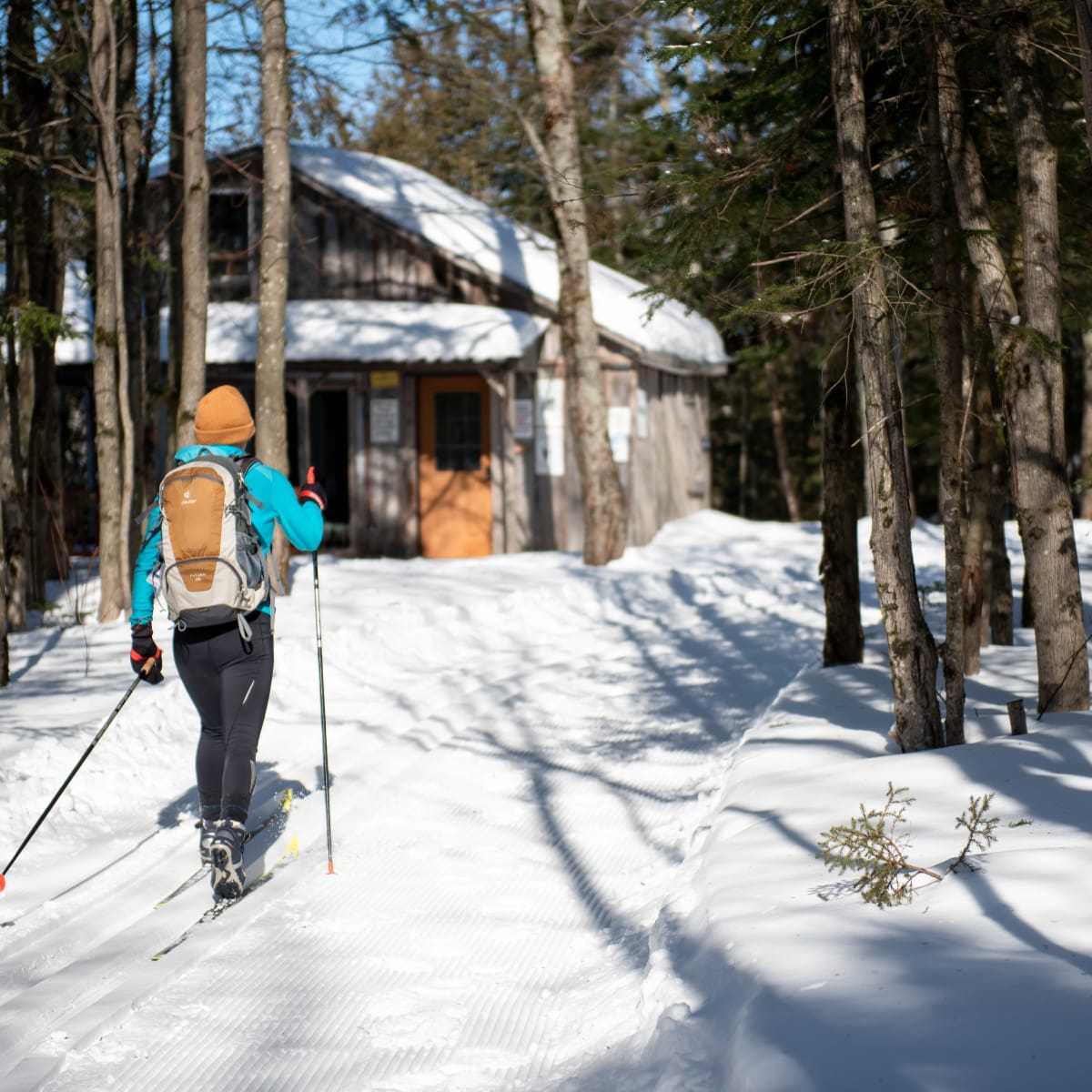 Cross-country skier on a snow-covered trail