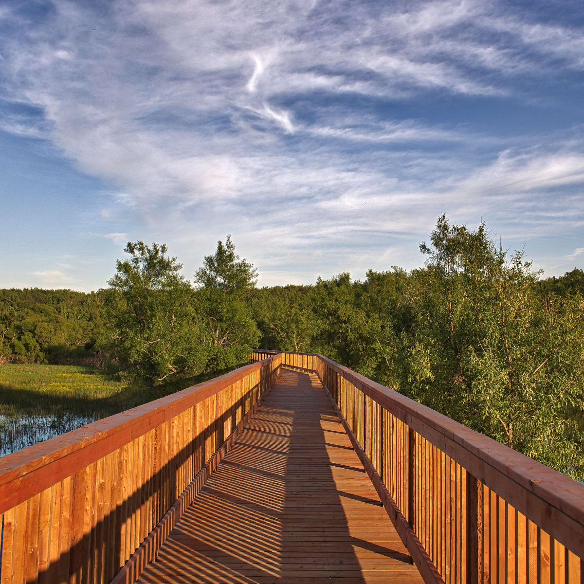 Passerelle au-dessus de la rivière en Nicolet-Yamaska.