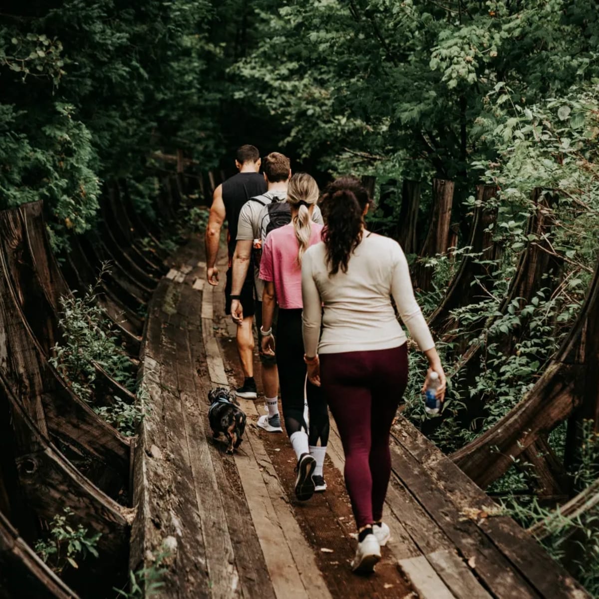 Group of people walking on an old wooden structure in the heart of the forest.