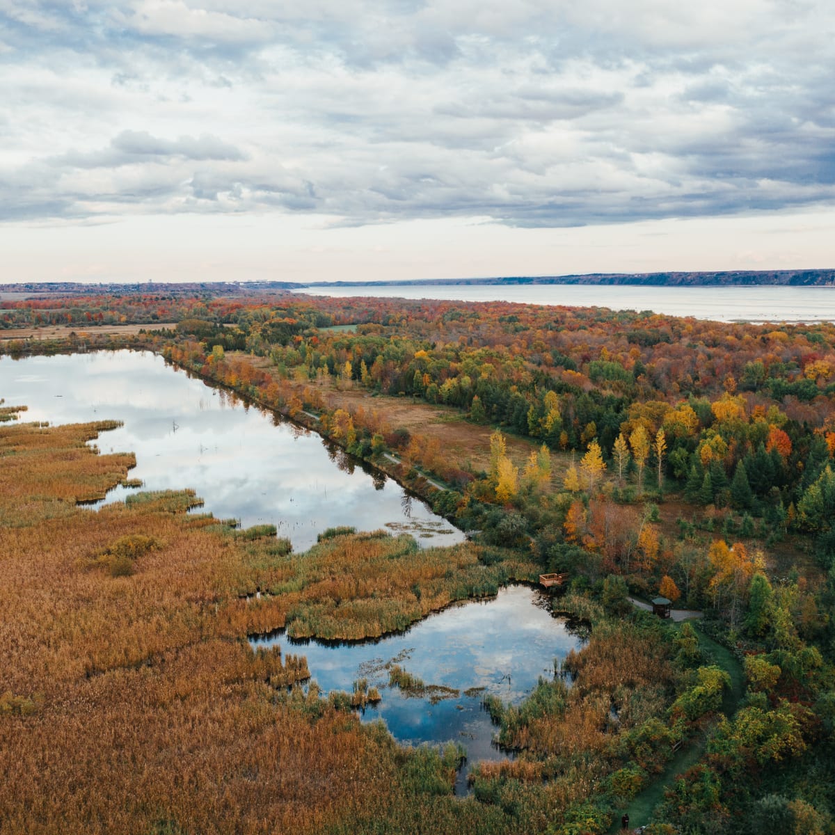 Lake and fall landscape slightly overcast.