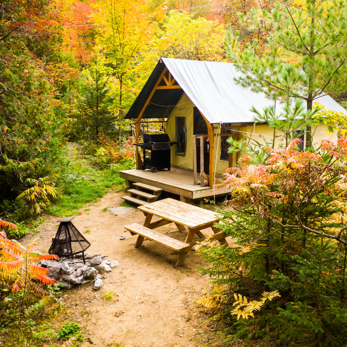 Cottage in the forest in a fall setting.