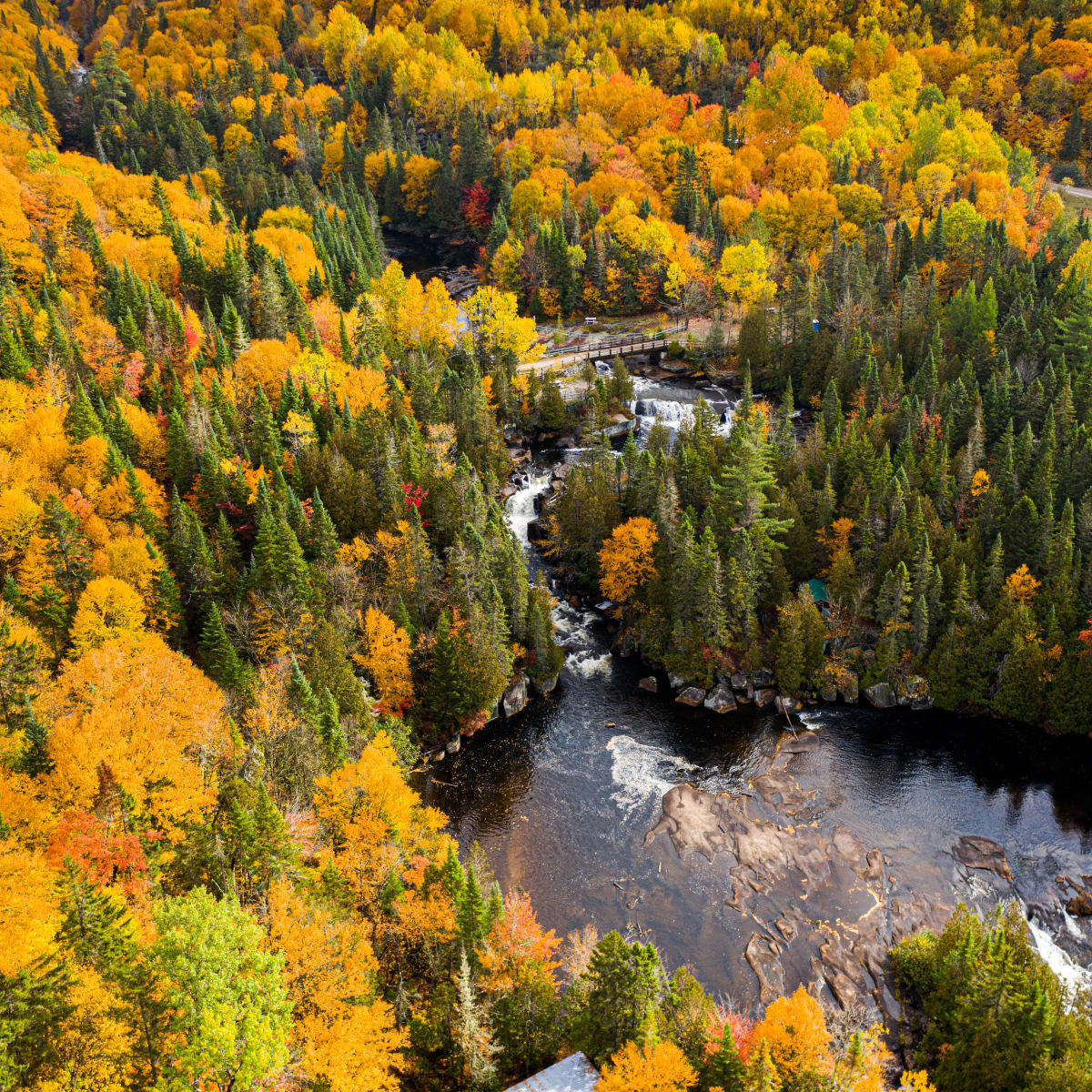 Bird’s-eye view of a fall landscape in hues of green and yellow.