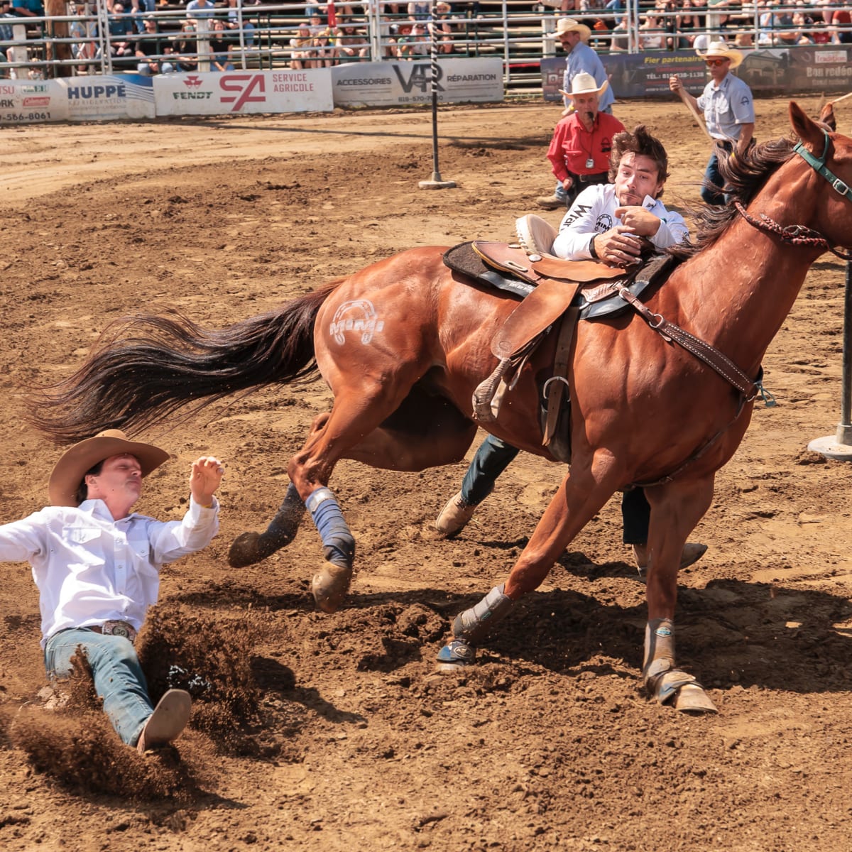 Professional rodeo.