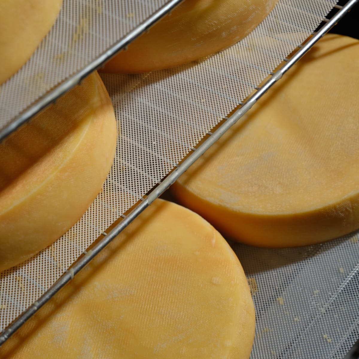 Cheese from the Famille Migneron, on the Flavour Trail of Charlevoix.