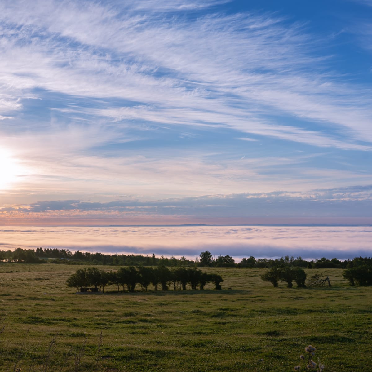 Route du Fleuve