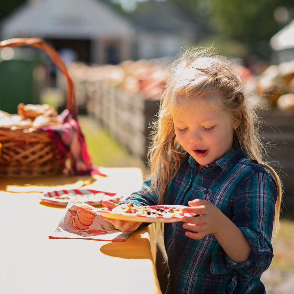 Jeune fille à la ferme La Fille du Roy