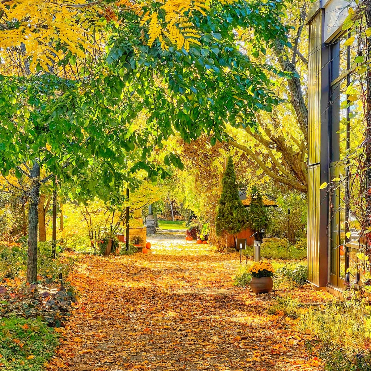 Allée colorée au Jardin Daniel A Séguin