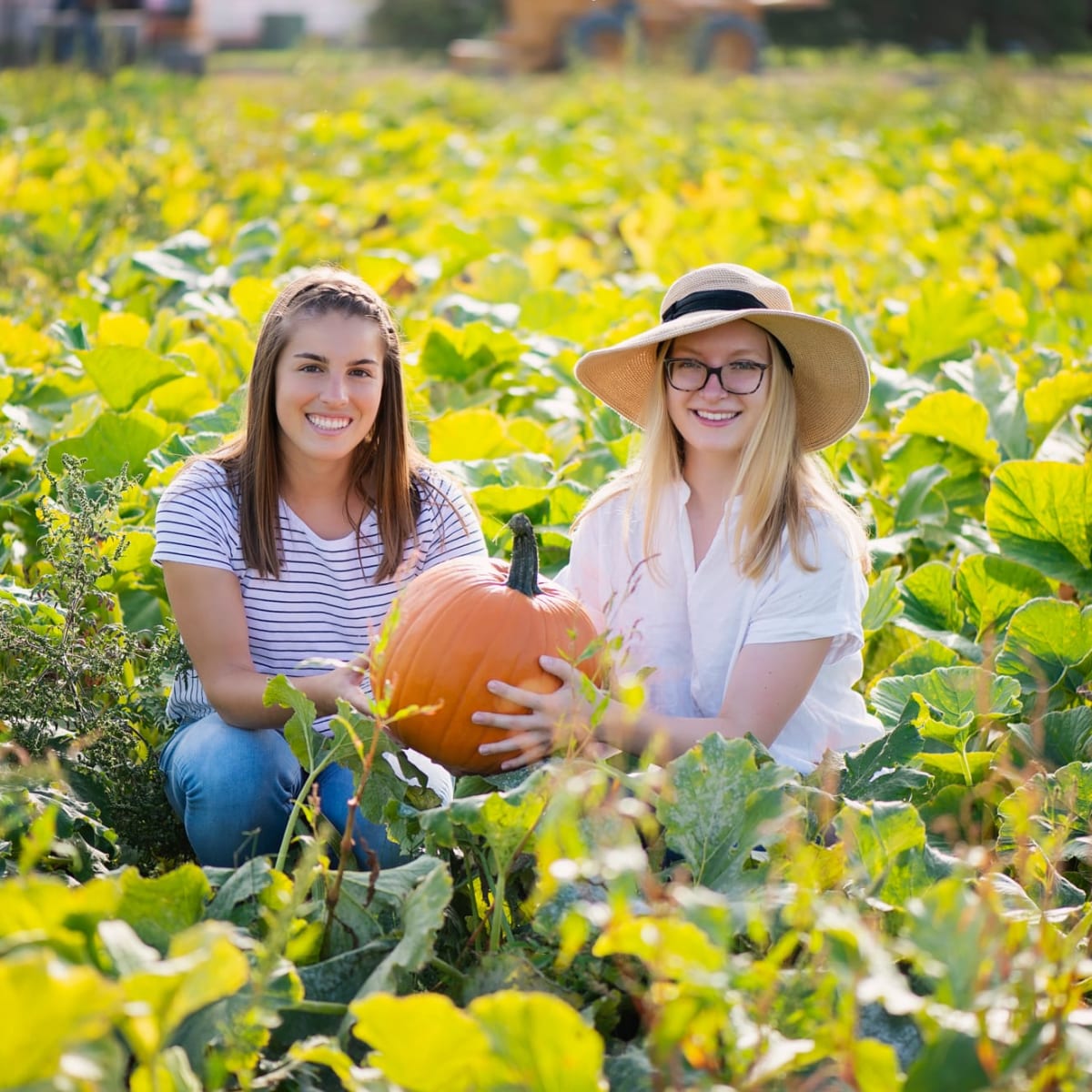 Two women in a pumpkin field in St-Hyacinthe.