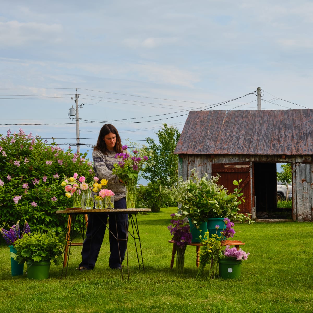 Florist, in the Crater and Tides Sector.