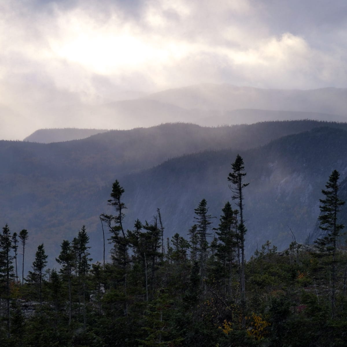 Landscape in the Mountain Sector.