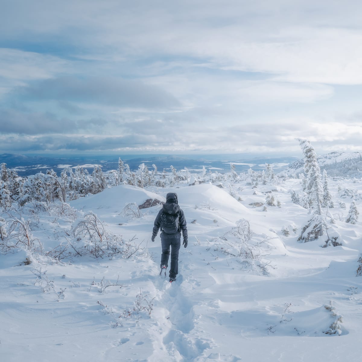 Alpine hiking in Parc national des Grands-Jardins, in the Mountains Sector.