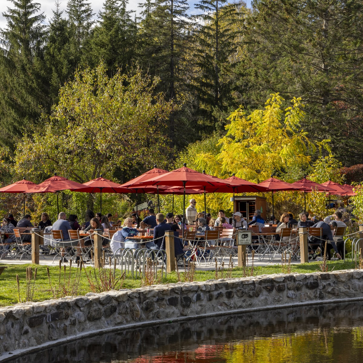 Terrasse - Sentier des cimes