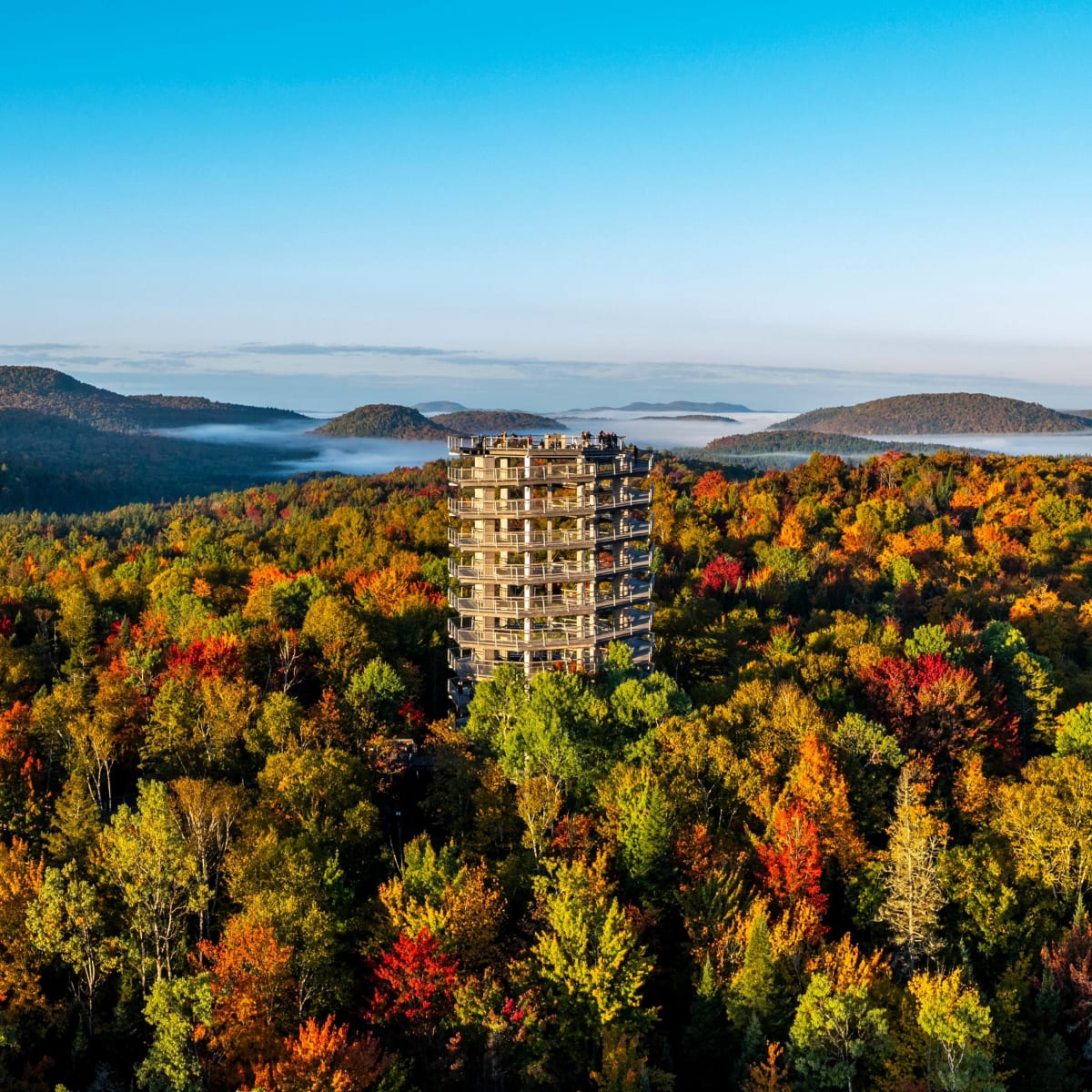 Vue aérienne de la tour panoramique du Sentier des cimes en automne.