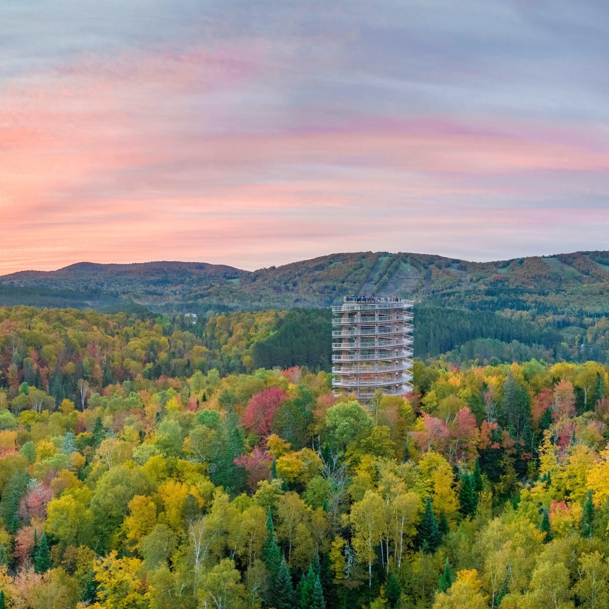 Vue aérienne de la tour panoramique du Sentier des cimes en début d'automne, au coucher du soleil.