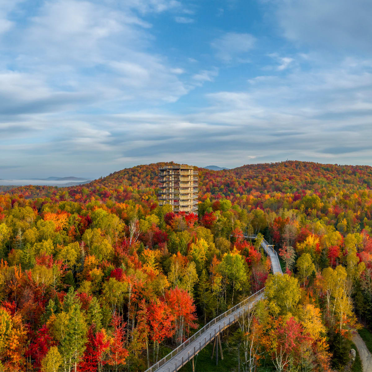 L'Odyssée des couleurs au Sentier des cimes.