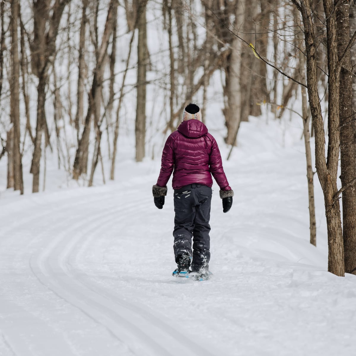Snowshoe hike on the Sentiers les Renards Blancs.