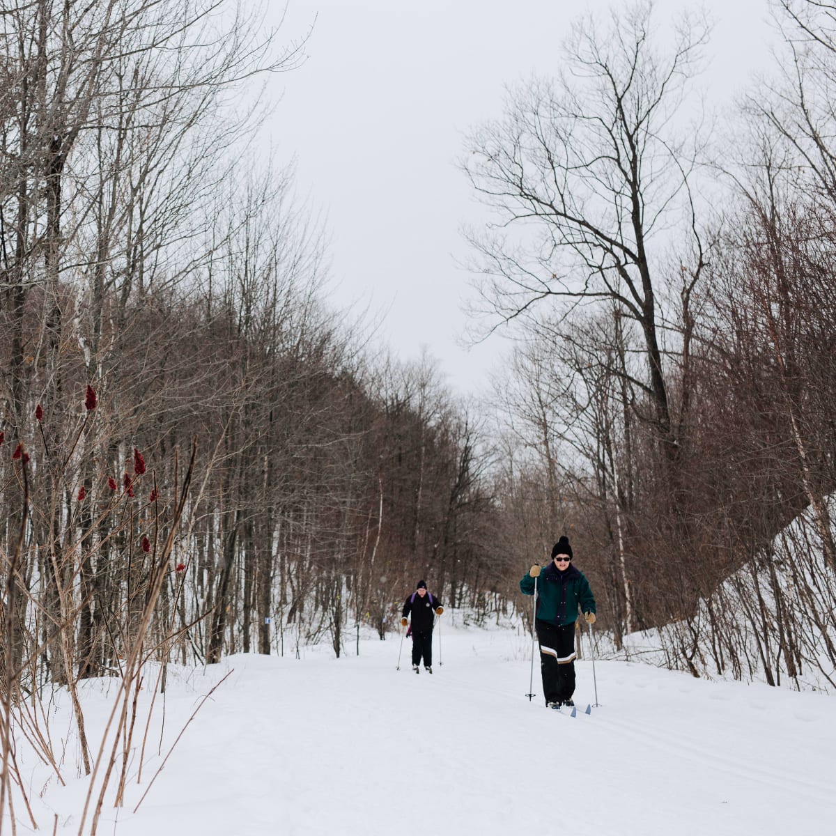 Cross-country skiing on the Sentiers les Renards Blancs.
