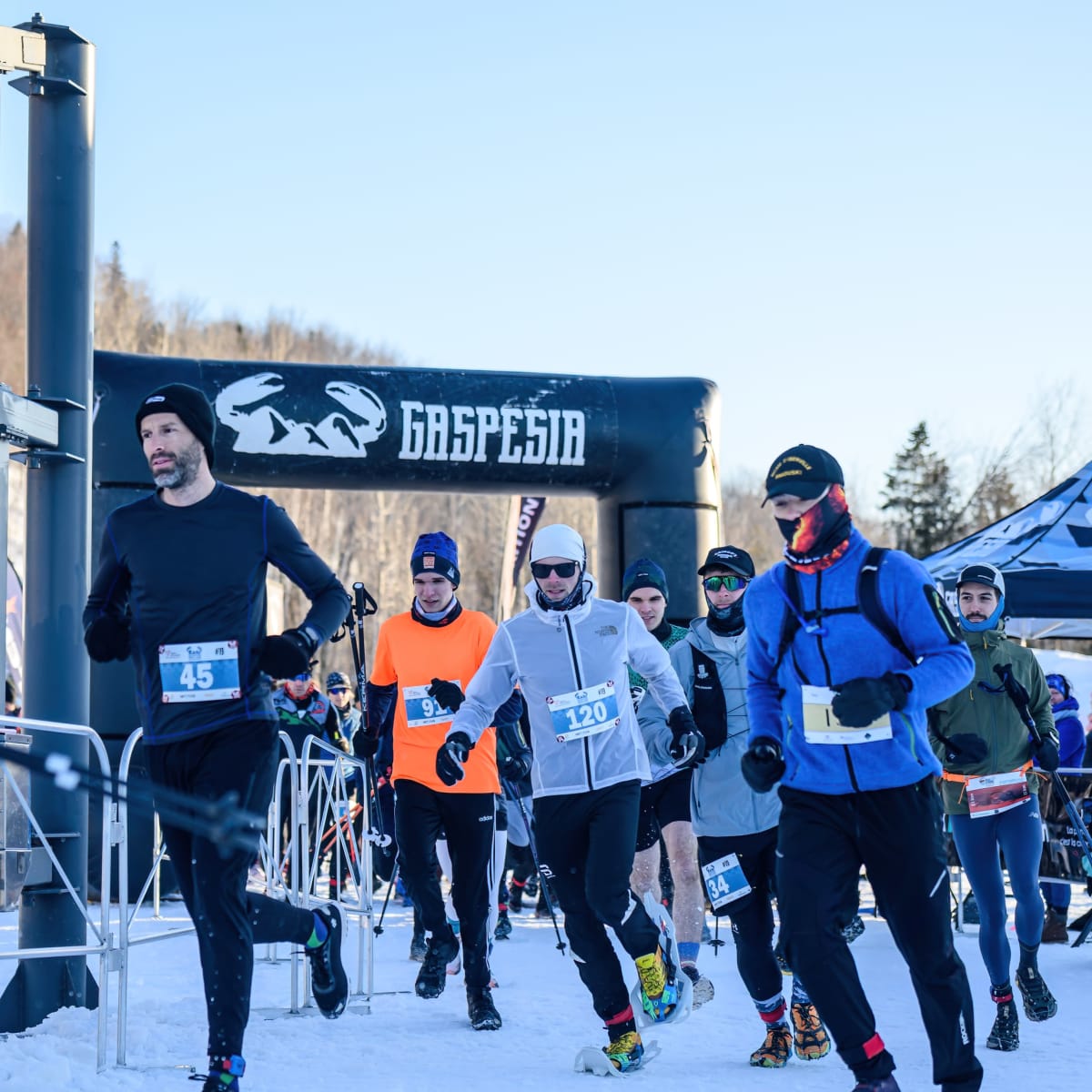 Trail polaire - 	Série de Courses Gaspesia.