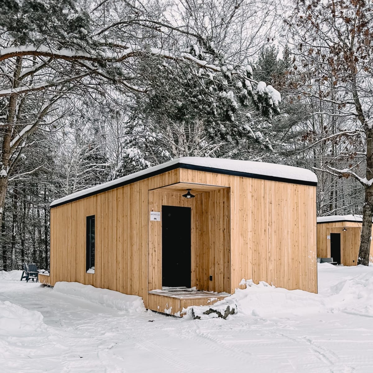 Micro refuges in winter at Nature Nature.