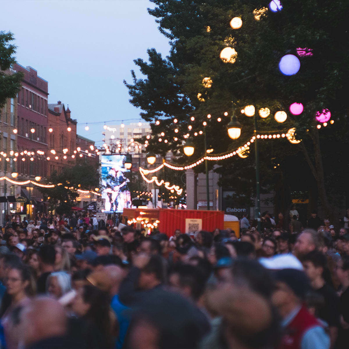 Crowd at Festival Sherblues.