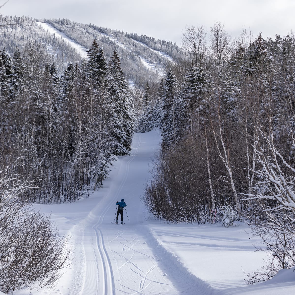 Cross-country skiing at Mont Grand-Fonds